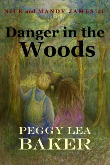      Danger in the Woods - Nick and Mandy James Series
