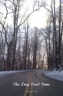     The Long Road Home