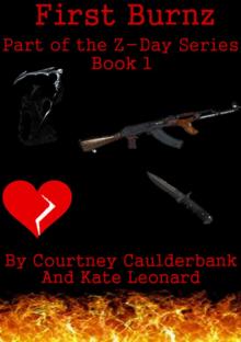      Z-Day Series: Book 1 First Burnz