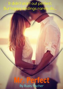      Mister Perfect: A Romantic Holiday Story