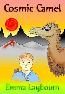      Cosmic Camel