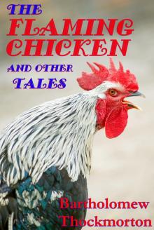      The Flaming Chicken and other Tales