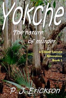      Yokche:The Nature of Murder