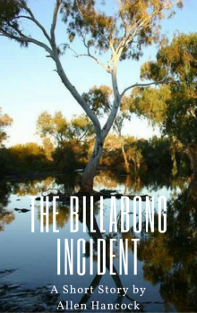      The Billabong Incident
