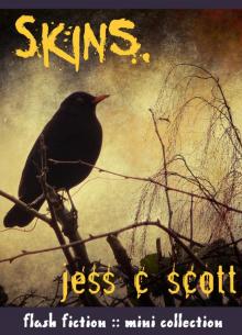      Skins (flash fiction mini collection)