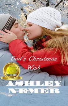      Bud's Christmas Wish