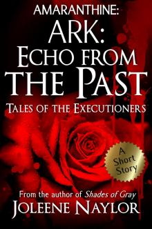      Ark: Echo from the Past (Tales of the Executioners)