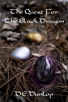      The Quest For the Black Dragon