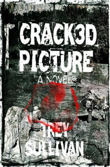      Crack3d Picture