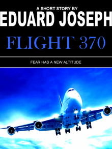      Flight 370