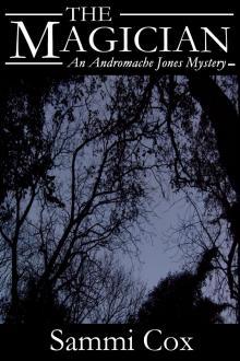      The Magician - An Andromache Jones Mystery