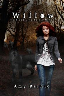      Willow