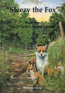      Sleezy the Fox: Story One - Sleezy Gets a Second Chance