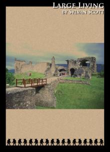      Skylands:  Large Living
