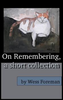      On Remembering, a short collection