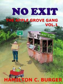      NO EXIT (The Apple Grove Gang #1)