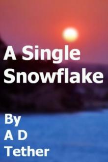      A Single Snowflake