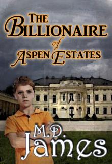      The Billionaire of Aspen Estates (The Concord Series #1)
