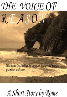      The Voice of Reason, Part of the Paranormal Shorts