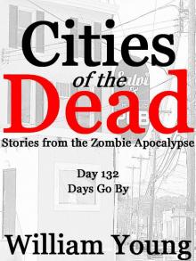      Days Go By (Cities of the Dead)