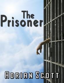      The Prisoner