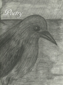      Poetry