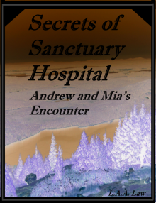      Secrets of Sanctuary Hospital Andrew and Mia's Encounter