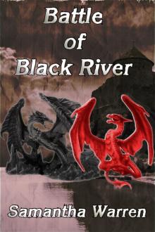      Battle of Black River