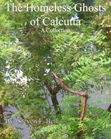      The Homeless Ghosts of Calcutta, A Collection.