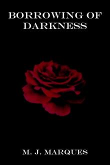      Borrowing of Darkness