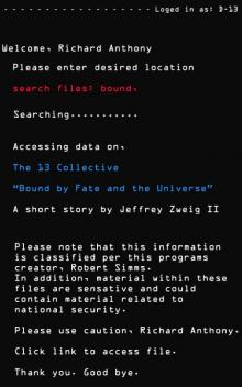      The 13 Collective: Bound by Fate and the Universe