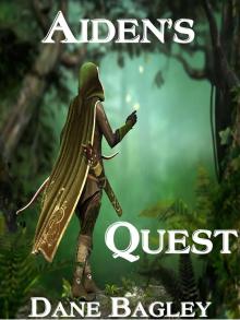      Aiden's Quest