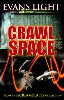      Crawlspace