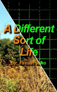      A Different Sort of Life