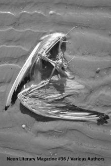     Neon Literary Magazine #36
