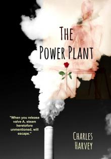      The Power Plant