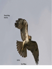      Phoenix Rising Book One Hawk