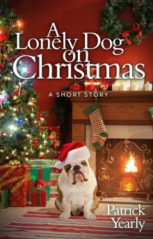      A Lonely Dog on Christmas