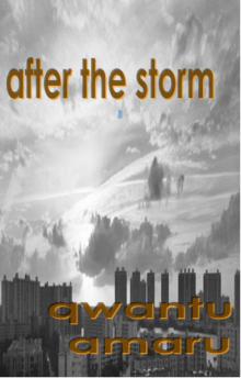      After the Storm