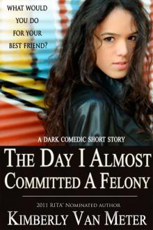      The Day I Almost Committed A Felony