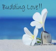      Budding Love!!
