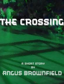      The Crossing, a short story