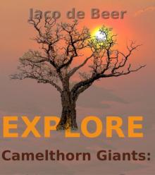      Camelthorn Giants: Explore