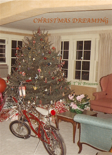      Christmas Dreaming