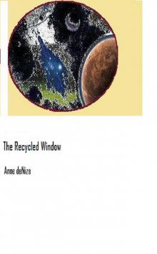      The Recycled Window