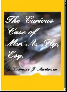      The Curious Case of A. Fly, Esquire