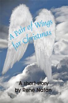      A Pair of Wings for Christmas