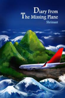      Diary From The Missing Plane