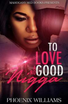      To Love a No Good Nigga