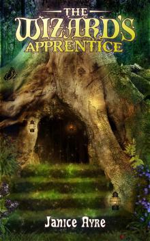      The Wizard's Apprentice